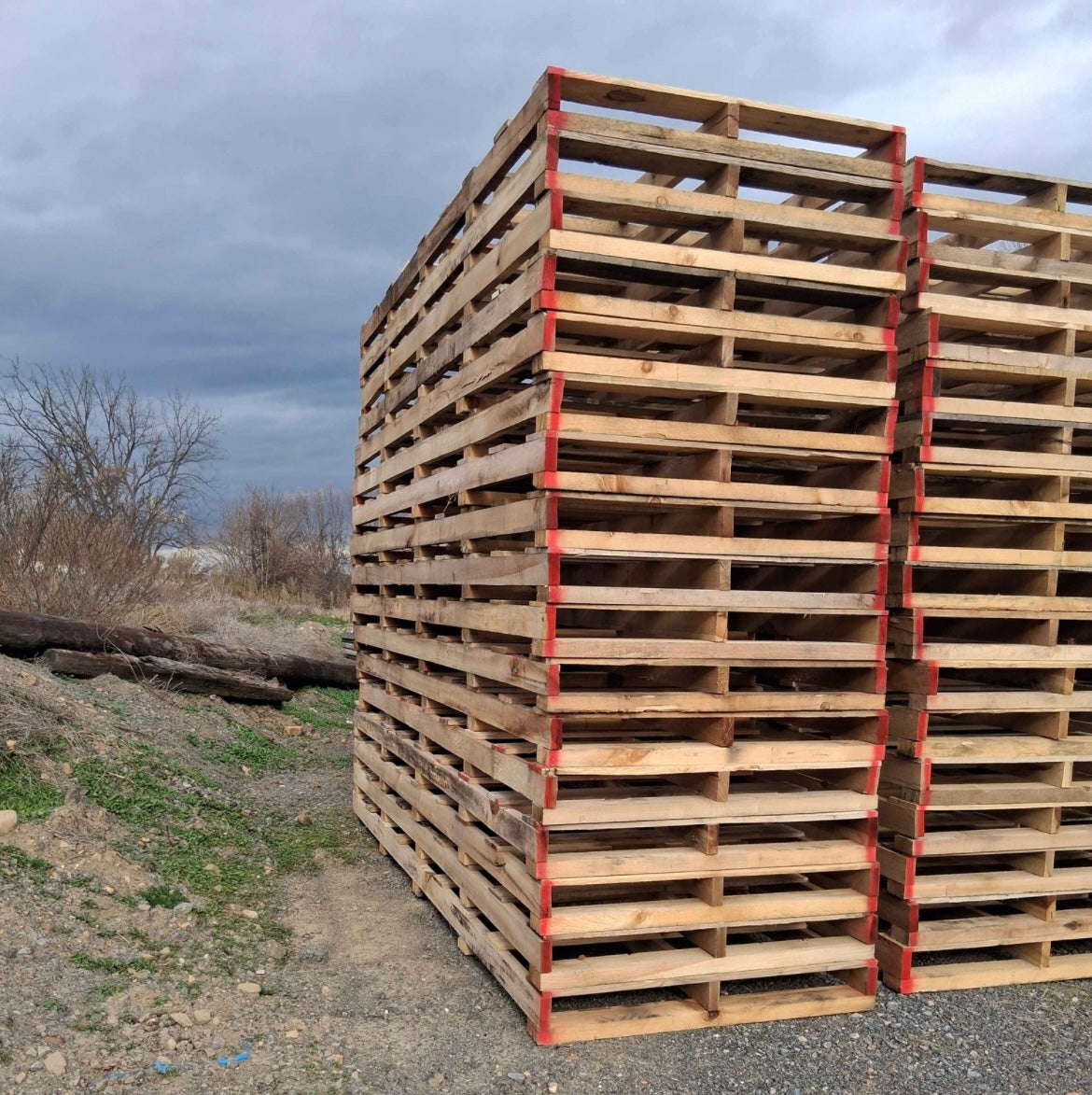 120x42 Wooden Pallet
